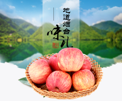 萬榮縣恒運源果品專業合作社 專業蔬菜零售服務